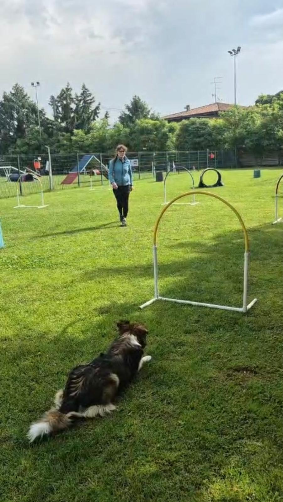 Hoopers Verona CUD